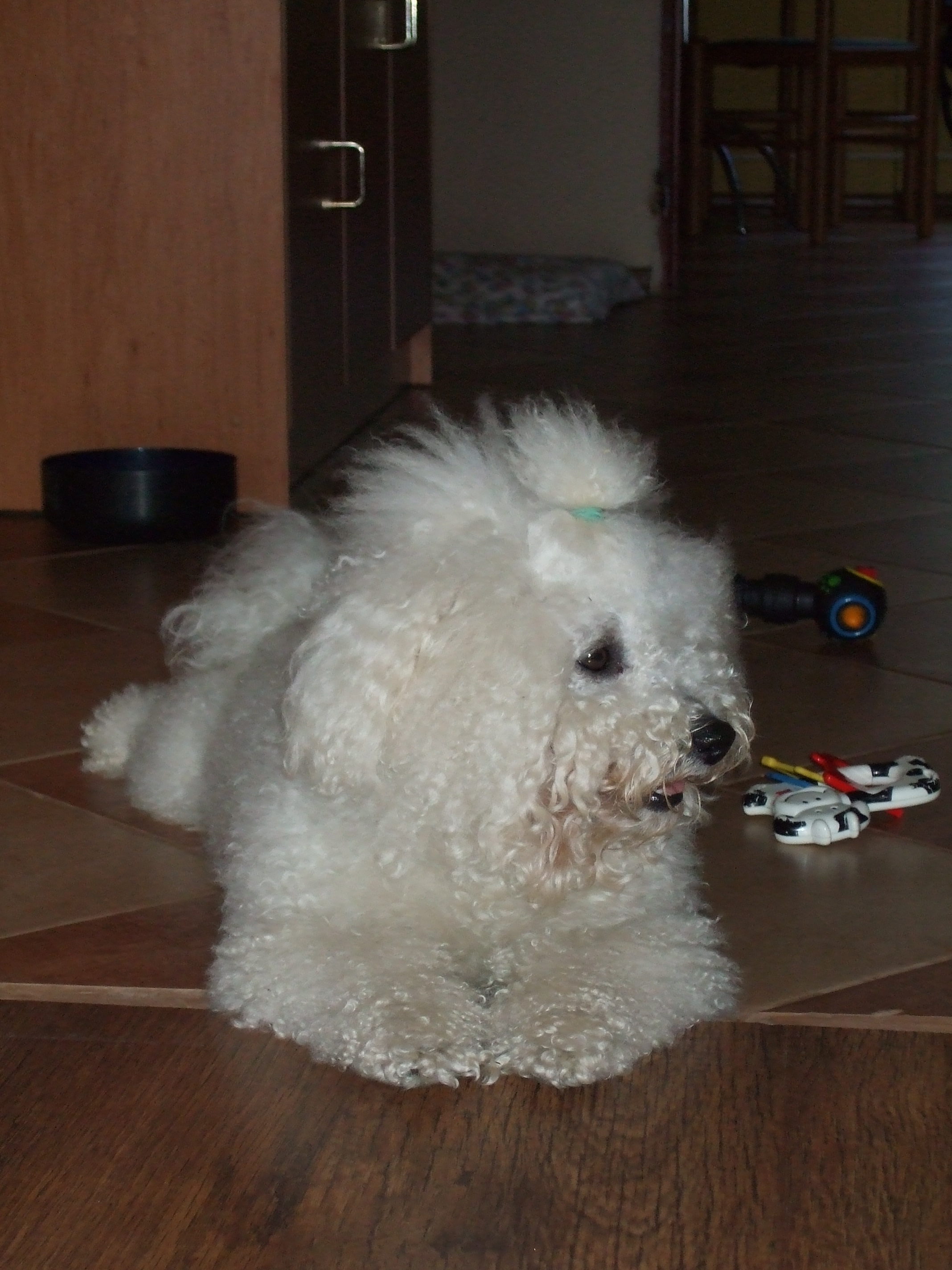 Snímek 044.jpg