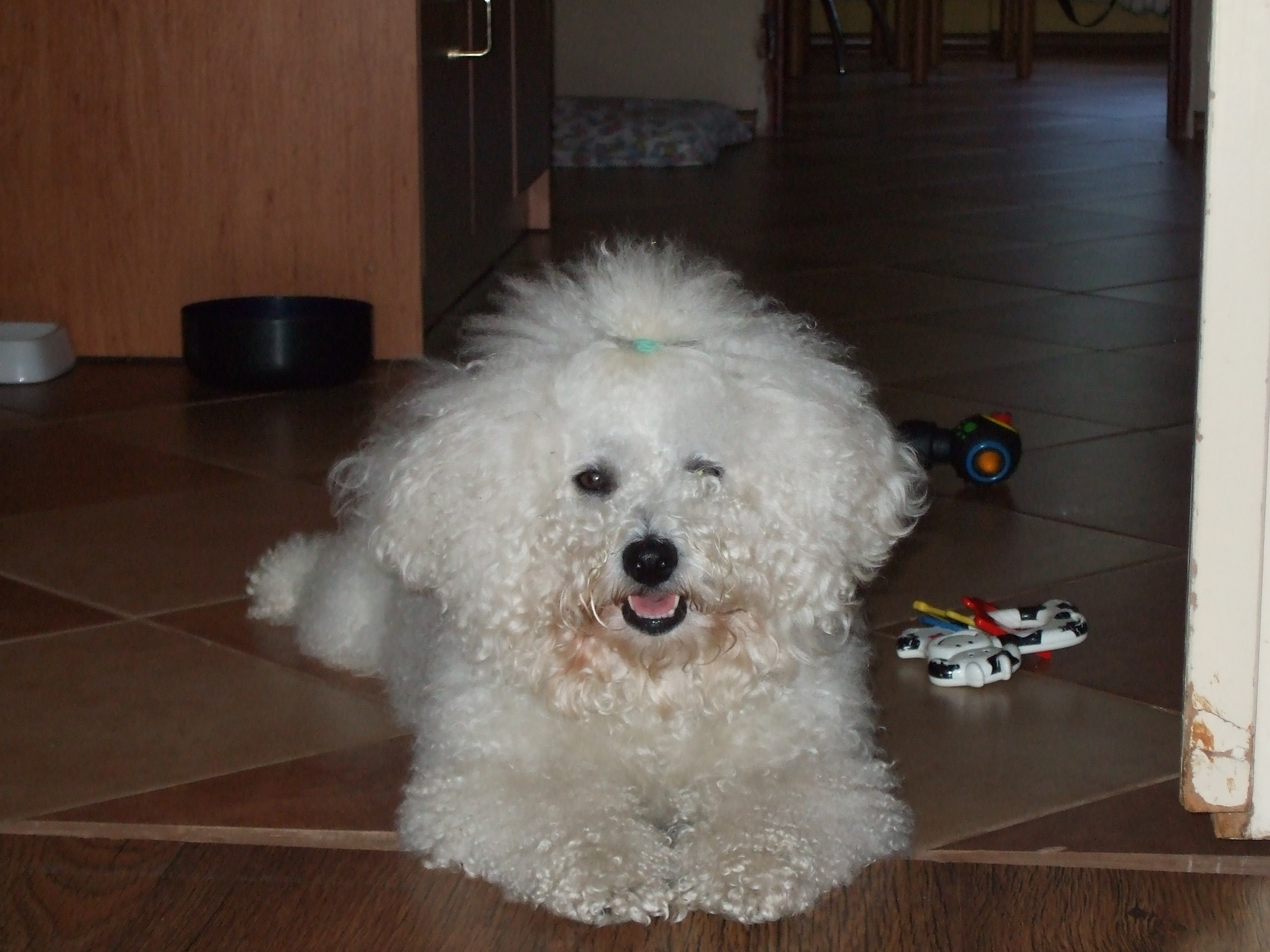 Snímek 045.jpg