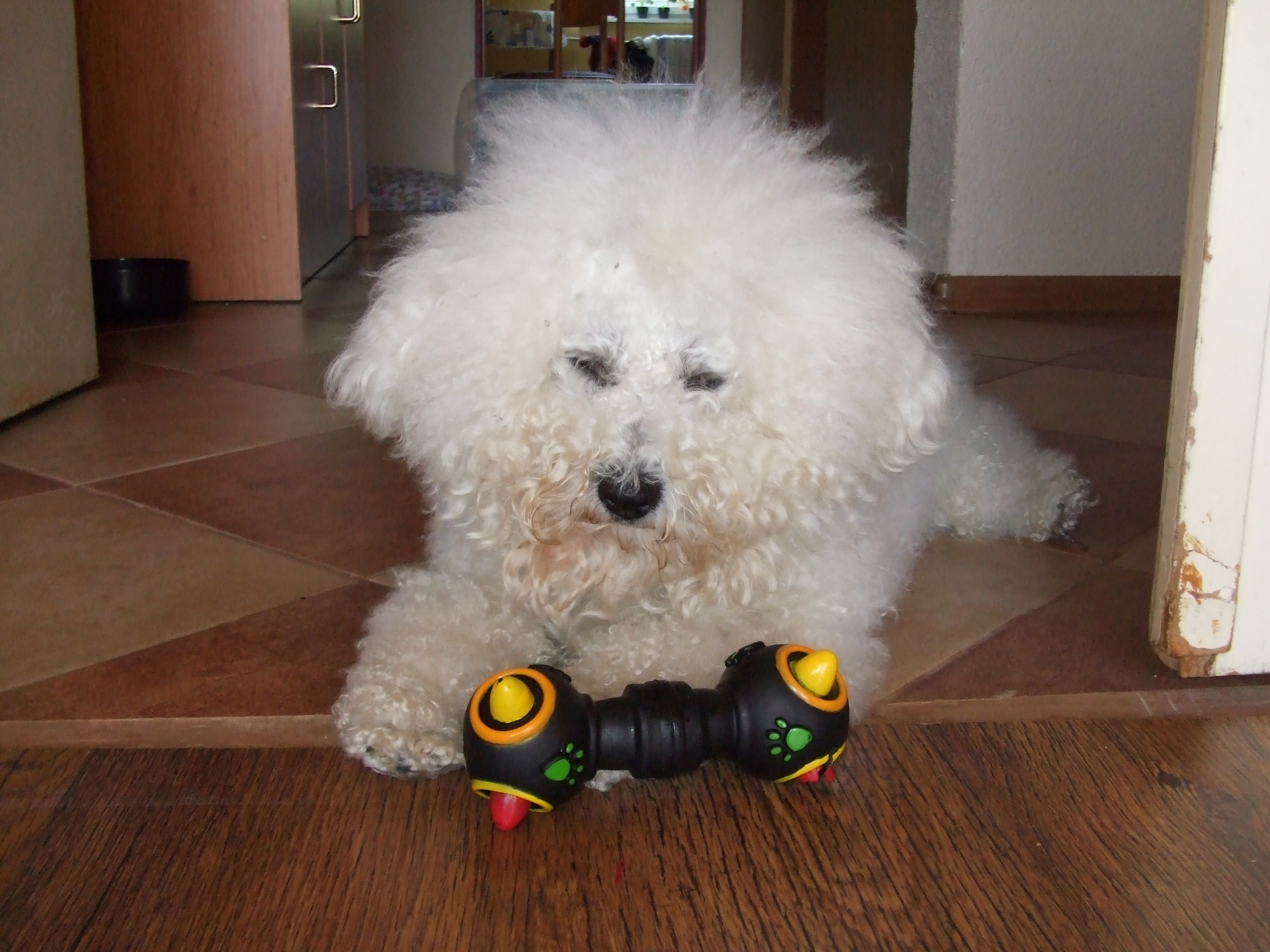 Snímek 051.jpg