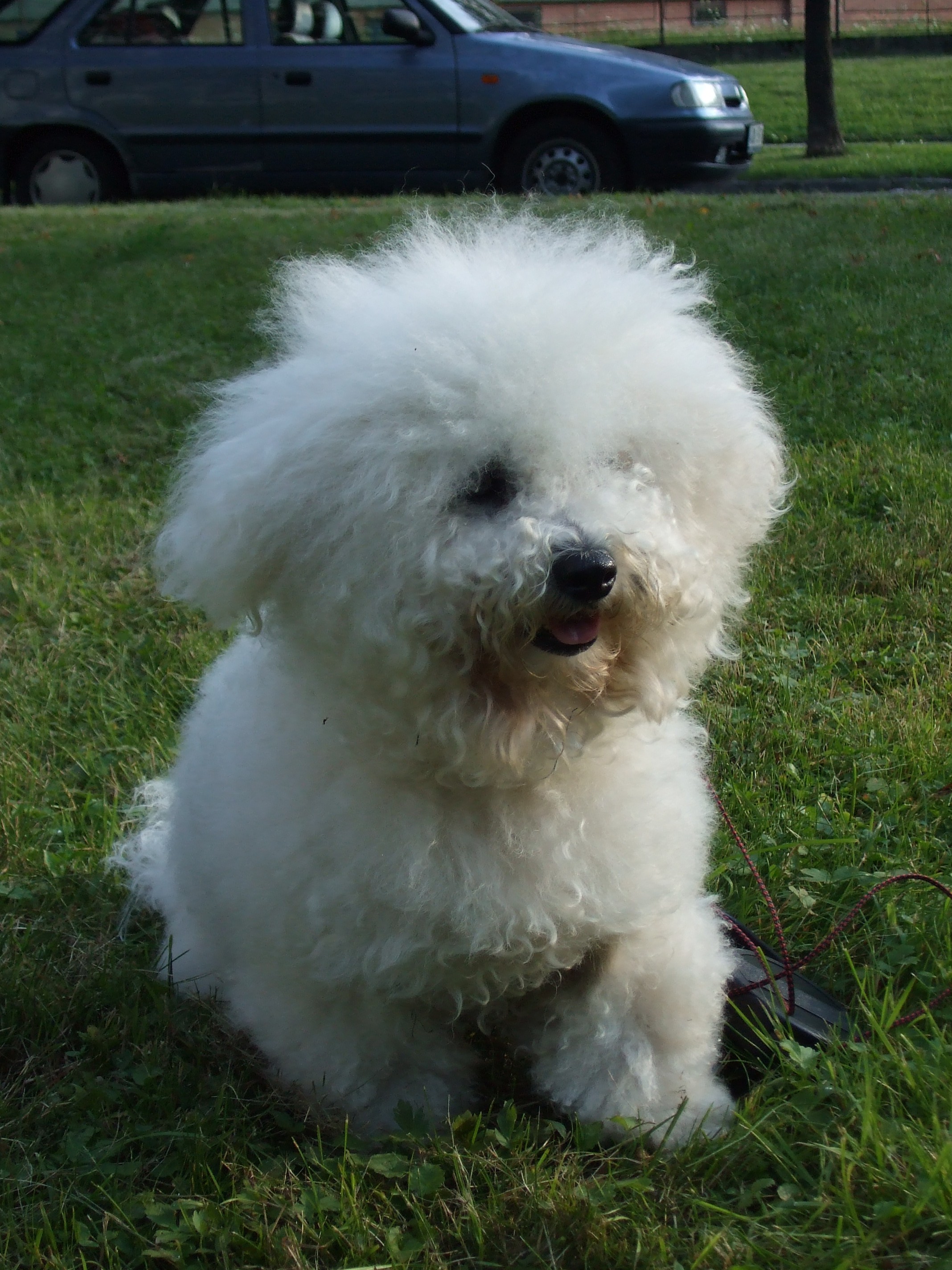 Snímek 055.jpg